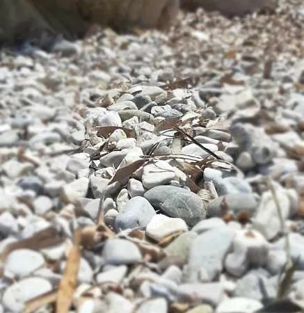 La Casetta Di Ilaria * Vietri